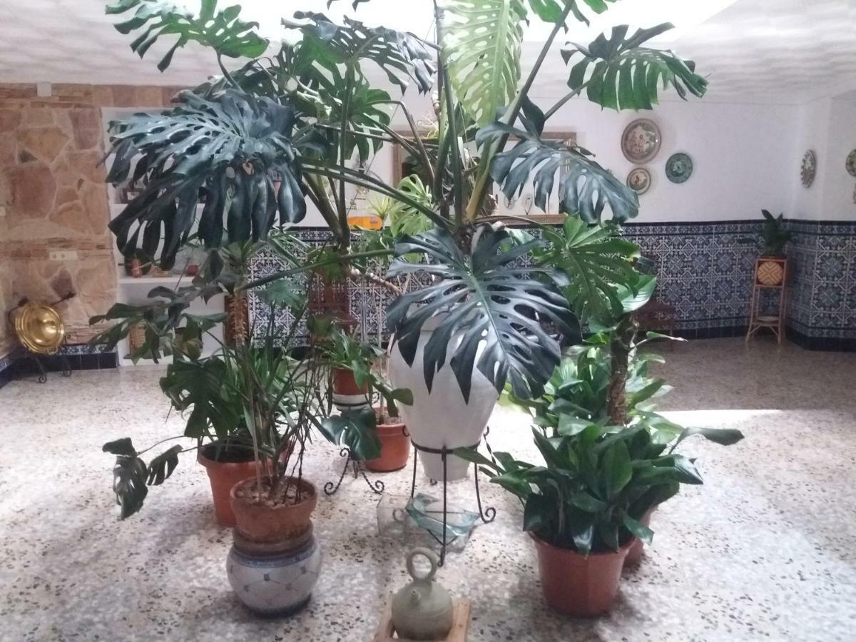Casa Labradora Διαμέρισμα Herencia Εξωτερικό φωτογραφία